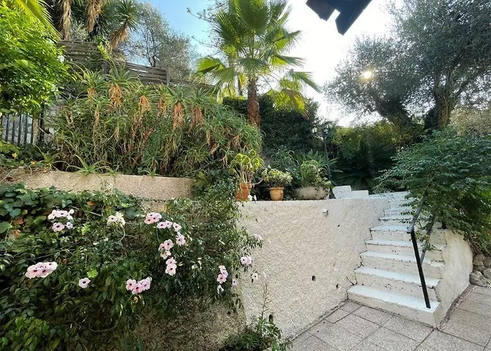 Rez De Avec Piscine *