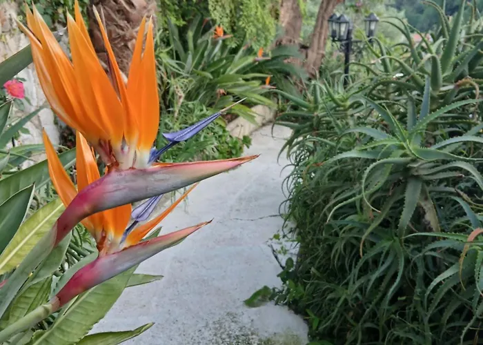 Rez De Avec Piscine *