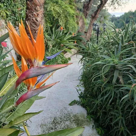 Rez De Avec Piscine *